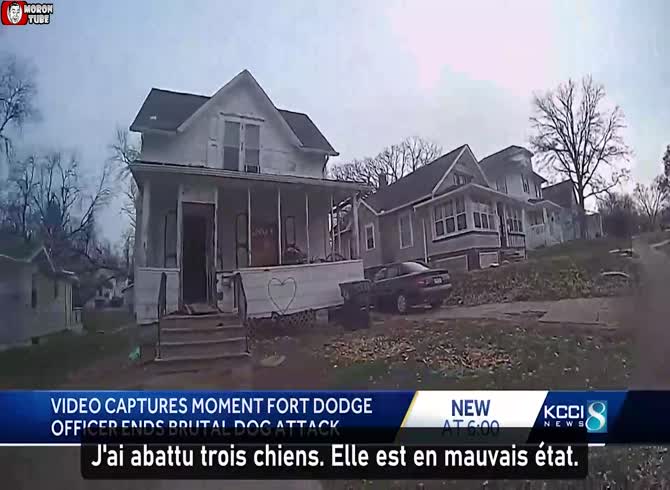 Video :Amputated legs following consumption by three pit bulls